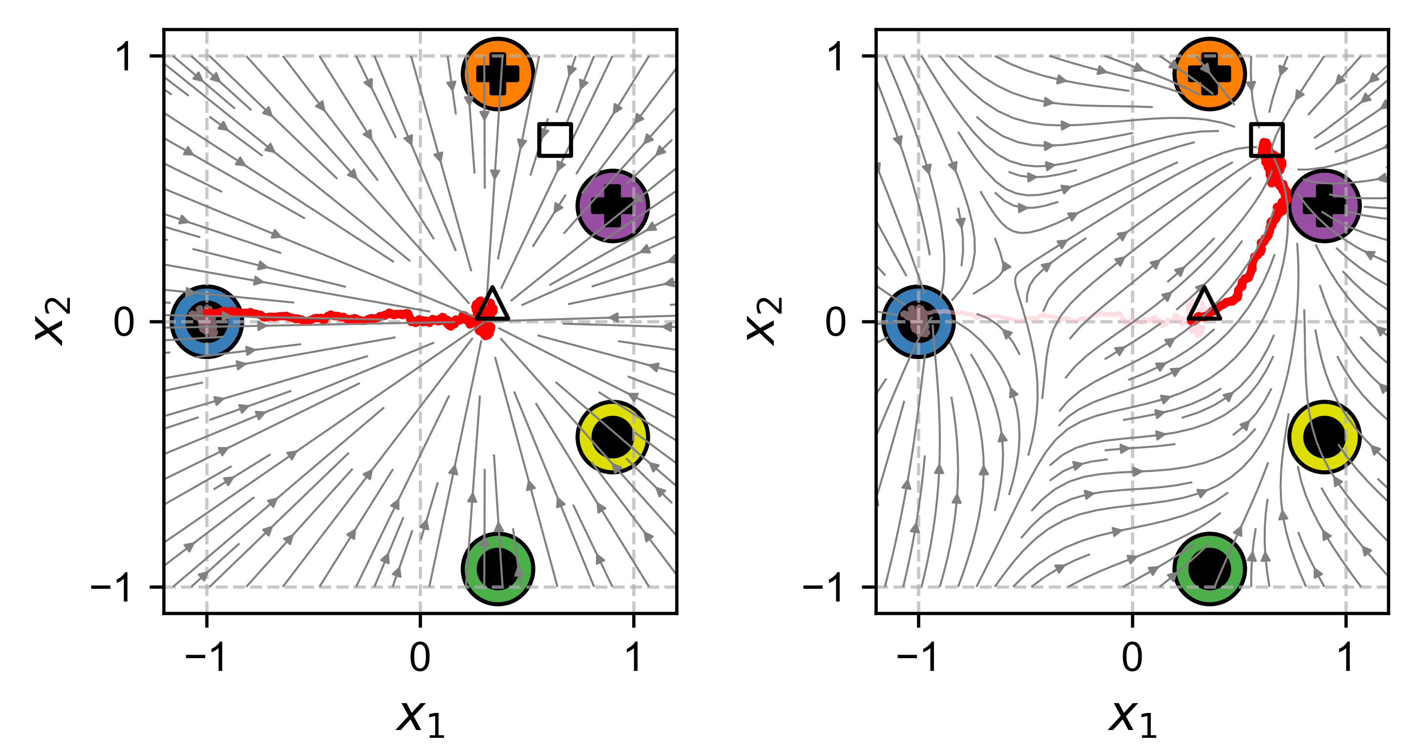 Cell Identity Dynamics